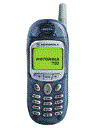 Best available price of Motorola T190 in Dominicanrepublic