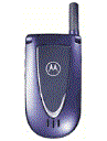 Best available price of Motorola V66i in Dominicanrepublic